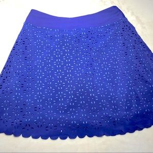 Title Nine Under the Illusion skirt XS PURPLE